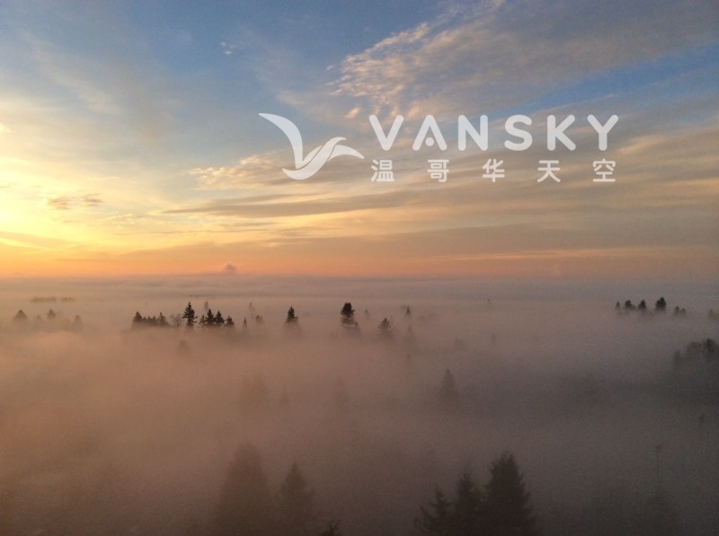 220911080639_Foggy Day View.jpg